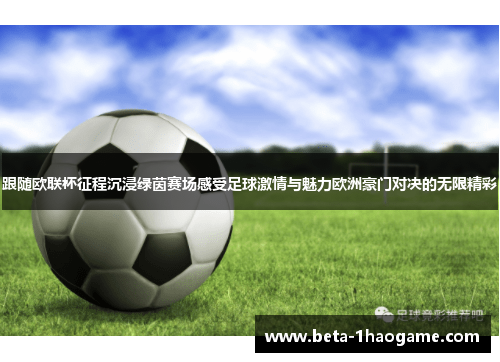 跟随欧联杯征程沉浸绿茵赛场感受足球激情与魅力欧洲豪门对决的无限精彩